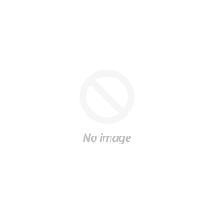 ACR neo eco 3C no door stove only